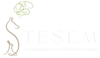 TESEM